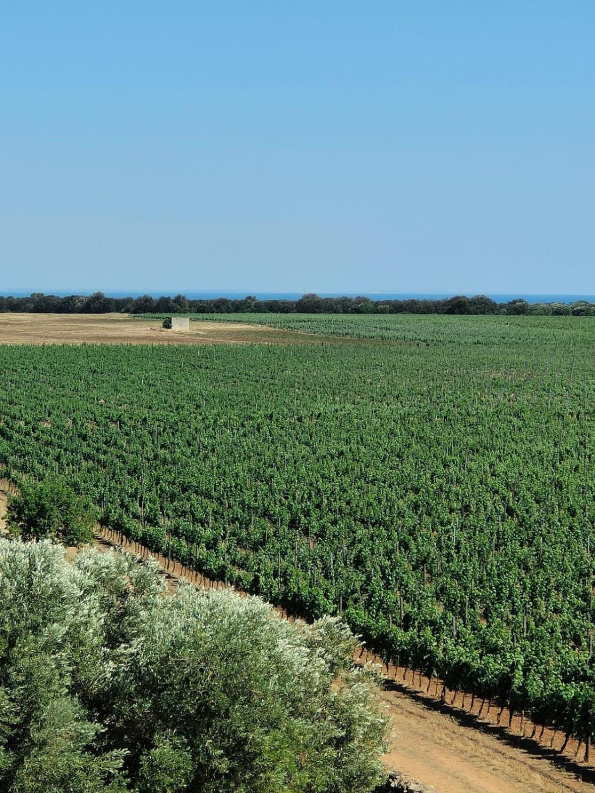 Nordisk Village Puglia Manduria Exteriér fotografie